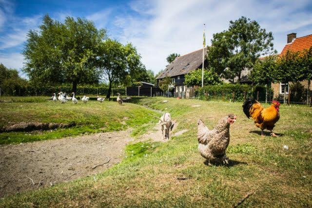 Vakantiewoning - Kon. Emmaweg 26 | Vrouwenpolder 'Uitspanning Oranjezon' Экстерьер фото