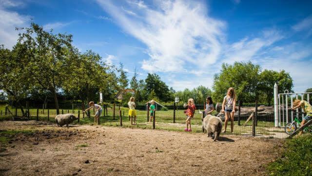 Vakantiewoning - Kon. Emmaweg 26 | Vrouwenpolder 'Uitspanning Oranjezon' Экстерьер фото
